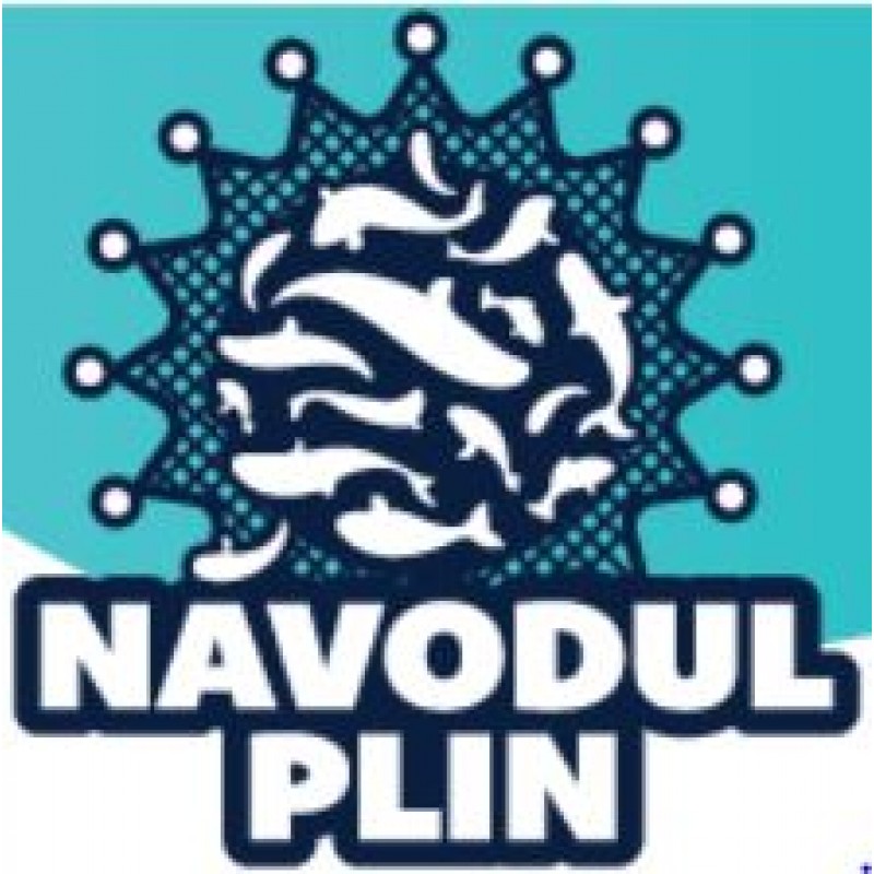 NAVODUL PLIN File de hering in ulei de floarea soarelui 180g EO *10