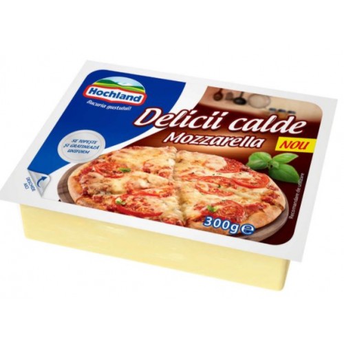 Hochland Mozzarella Bloc 300g *10